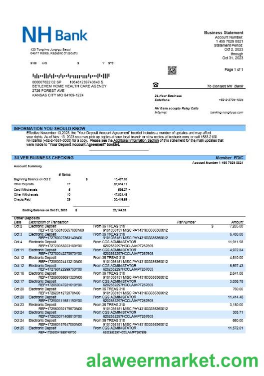 NH Bank firm account statement Word and PDF template
